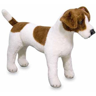 Jack Russell Terrier i plys