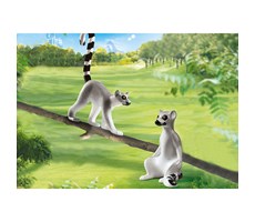 2 lemurer