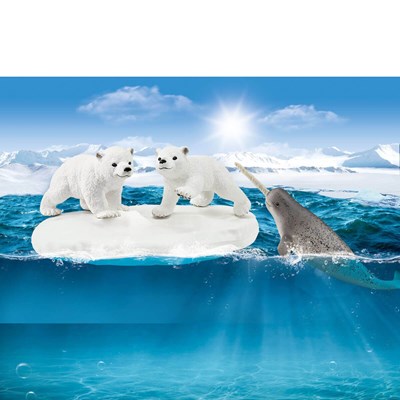 Isbjørn-Rutsjetur
