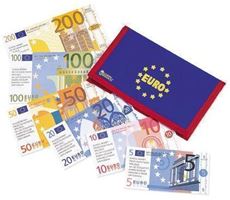 Pung med Euro penge