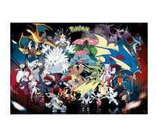 Pokemon Plakat 91,5x61 cm