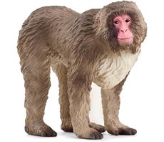 Japanske makak-abe